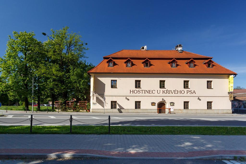 Penzion U Kriveho Psa Frýdek-Místek Buitenkant foto